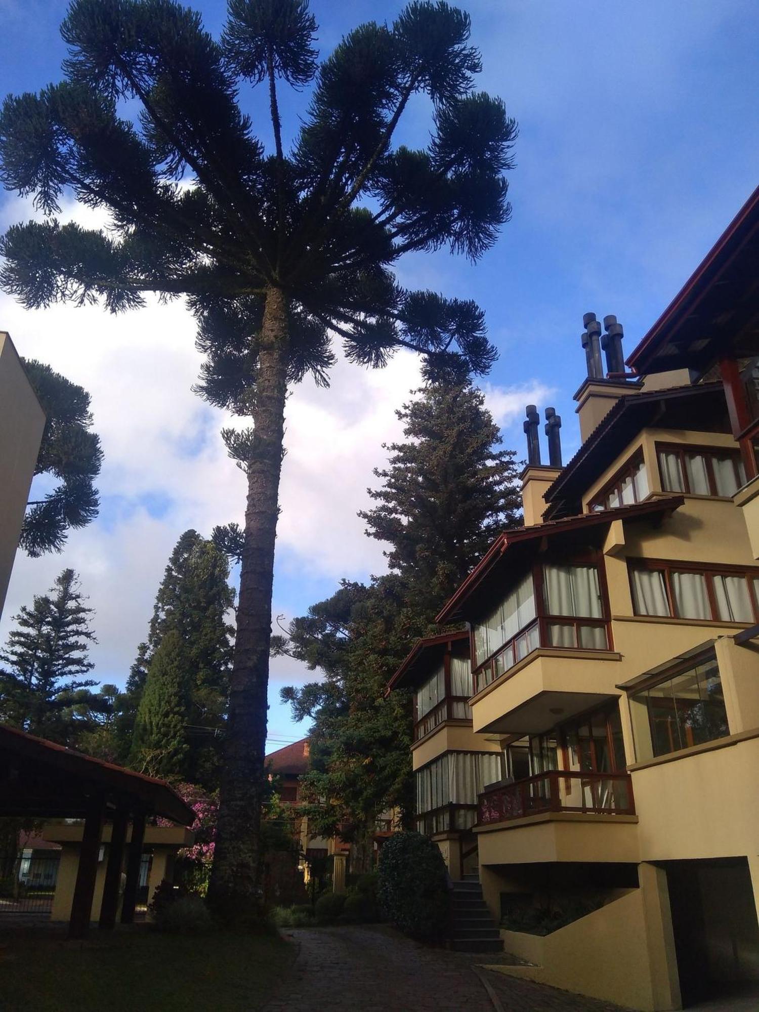 Ferienwohnung Estacao Das Hortensias, Seu Aconchego Em Gramado Exterior foto